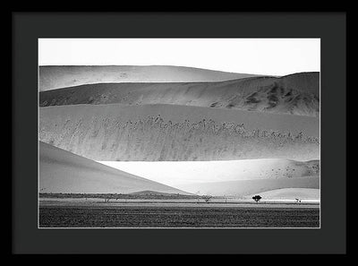 Sand Dunes, Namibia, Black and White #1 / Art Photo - Framed Print