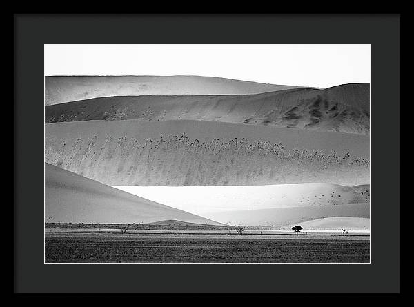 Sand Dunes, Namibia, Black and White 