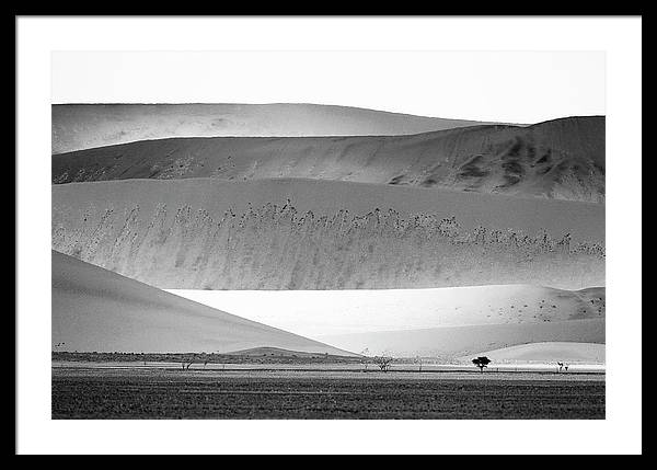 Sand Dunes, Namibia, Black and White 