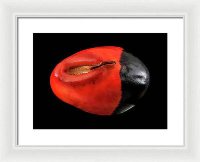 Seed, Red and Black Art Photo / Framed Print