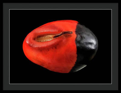 Seed, Red and Black Art Photo / Framed Print