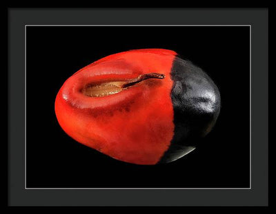 Seed, Red and Black Art Photo / Framed Print