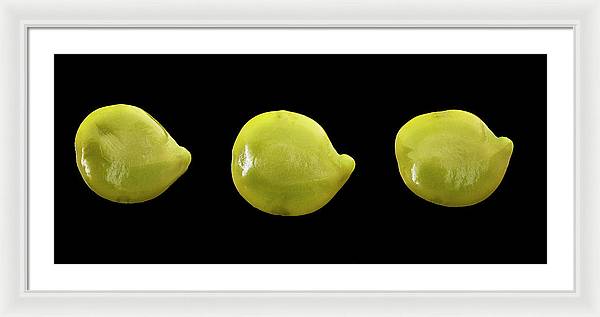 Senna Hebecarpa / Art Photo - Framed Print