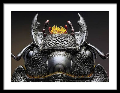 Studio stack of the Head of a  Dorcus parallelipipedus / Art Photo - Framed Print