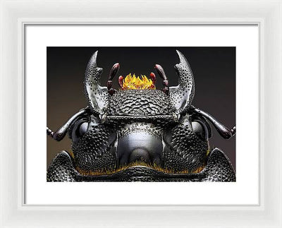 Studio stack of the Head of a  Dorcus parallelipipedus / Art Photo - Framed Print