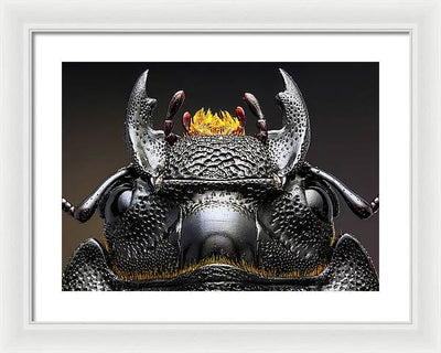 Studio stack of the Head of a  Dorcus parallelipipedus / Art Photo - Framed Print