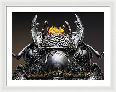 Studio stack of the Head of a  Dorcus parallelipipedus / Art Photo - Framed Print