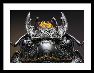 Studio stack of the Head of a  Dorcus parallelipipedus / Art Photo - Framed Print