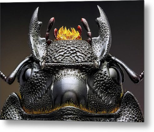 Studio stack of the Head of a  Dorcus parallelipipedus / Art Photo - Metal Print