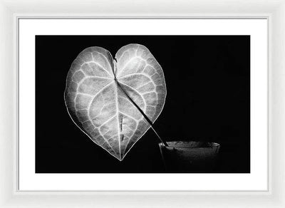 The Leaf, Monochrome / Art Photo - Framed Print