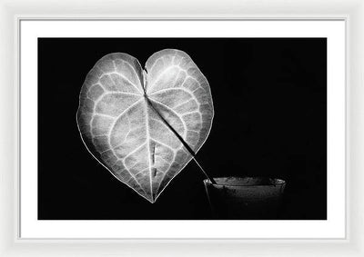 The Leaf, Monochrome / Art Photo - Framed Print