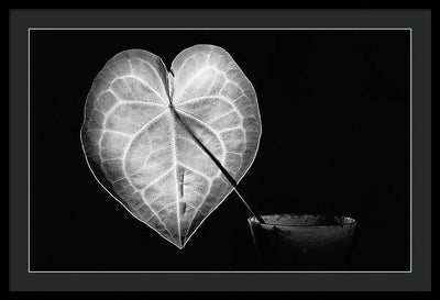 The Leaf, Monochrome / Art Photo - Framed Print