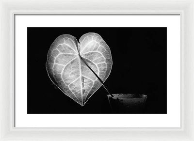 The Leaf, Monochrome / Art Photo - Framed Print