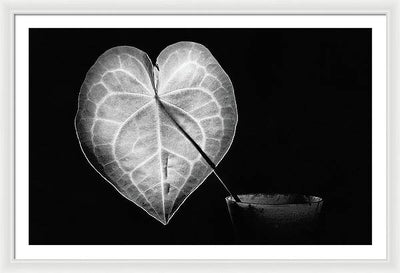 The Leaf, Monochrome / Art Photo - Framed Print