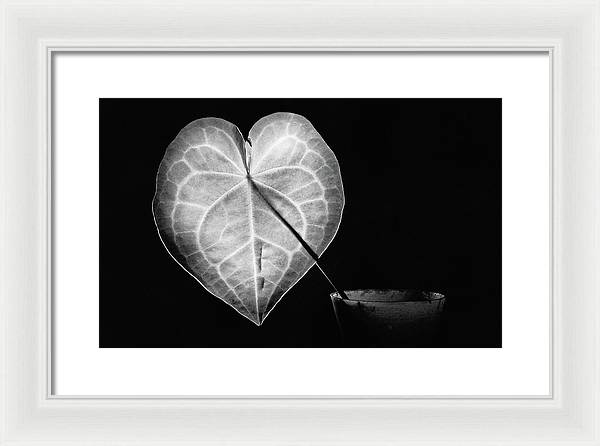 The Leaf, Monochrome / Art Photo - Framed Print