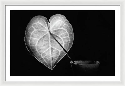 The Leaf, Monochrome / Art Photo - Framed Print