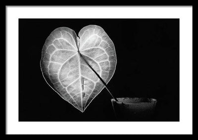 The Leaf, Monochrome / Art Photo - Framed Print