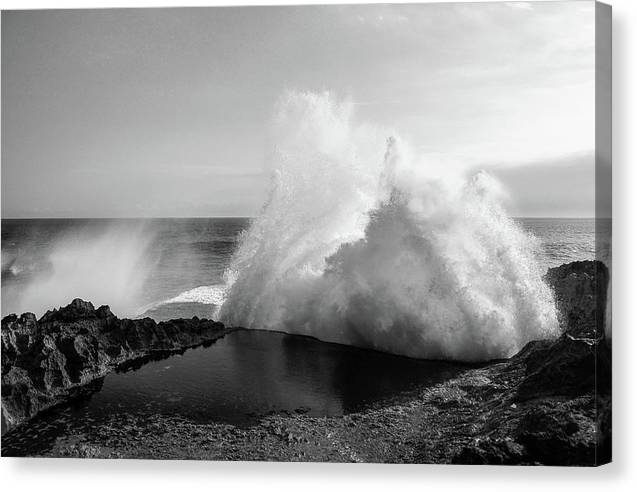 The Pool / Art Photo - Canvas Print