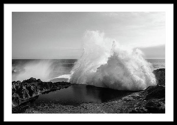 The Pool / Art Photo - Framed Print