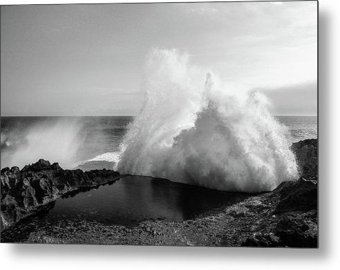 The Pool / Art Photo - Metal Print