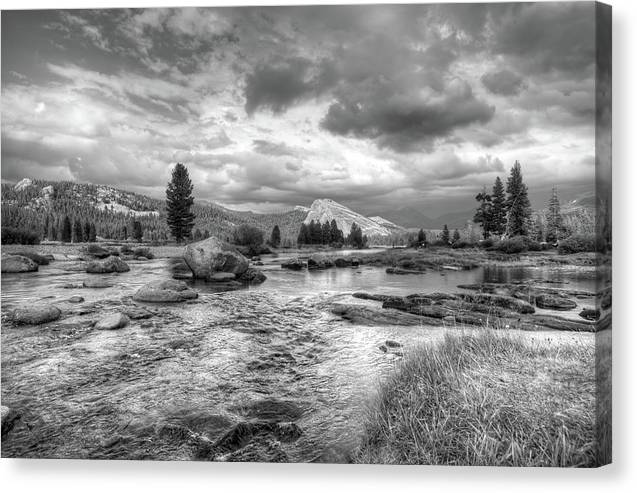 Tuolumne Rive, Yosemite National Park, California / Art Photo - Canvas Print