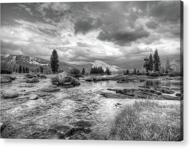 Tuolumne Rive, Yosemite National Park, California / Art Photo - Acrylic Print