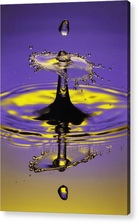 Twilight, Drop and Splash / Art Photo - Acrylic Print