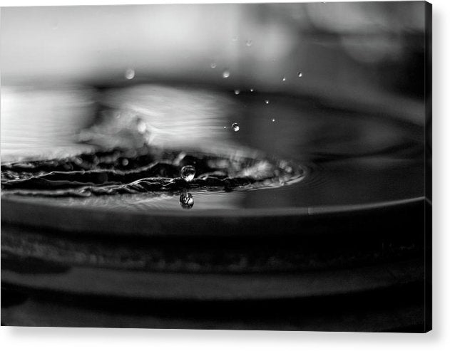 Water Drop - Acrylic Print