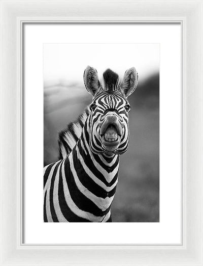Zebra, Black and White / Art Photo - Framed Print
