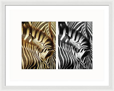 Zebras - diptych / Art Photo - Framed Print